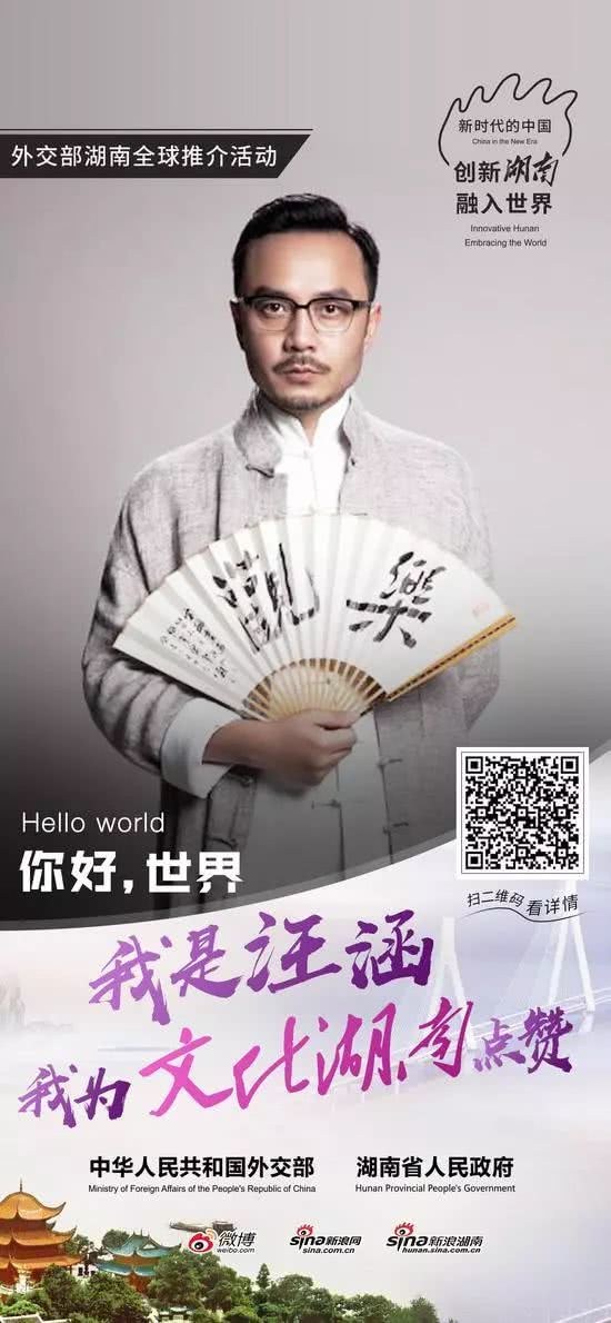 汪涵 的宣传海报