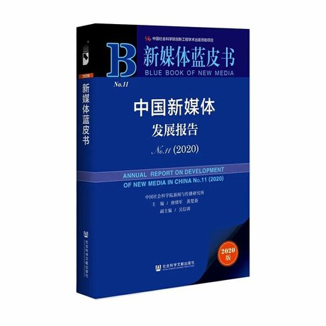 报告所属图书封面